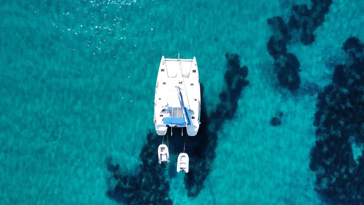 dji_fly_20231005_124430_358_1696502681306_photo_optimized